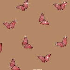 Meet your Posher, Avxlu